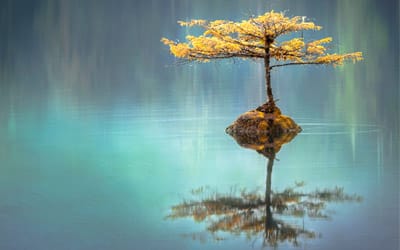 Nature of Life and Nature of Matter according to Vedanta