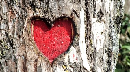 To Love God